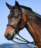 Amerigo Vespucci Double Bridle