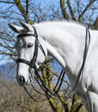 Amerigo Vespucci Double Bridle