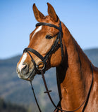 Amerigo Vespucci Dressage Snaffle Bridle