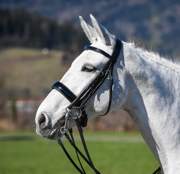 Amerigo Vespucci Patent Leather Double Bridle