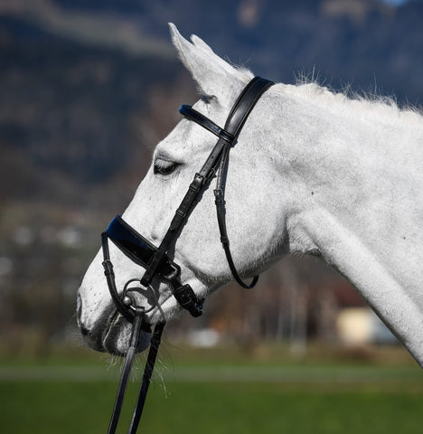 Amerigo Vespucci Patent Leather Dressage Snaffle Bridle