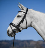 Amerigo Vespucci Traditional Dressage Bridle