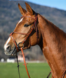 Amerigo Vespucci Grakle Bridle