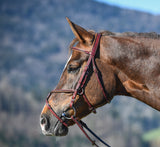 Amerigo Vespucci Grakle Bridle