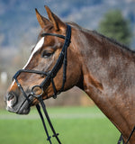 Amerigo Vespucci Grakle Bridle