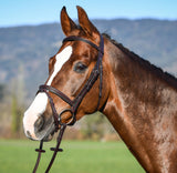 Amerigo Vespucci Flash Bridle