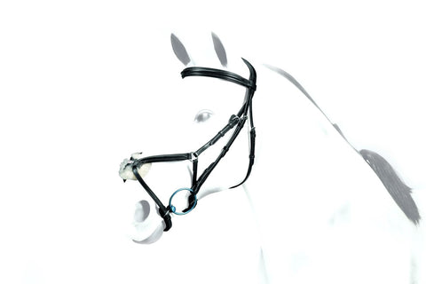 Equipe Grackle Bridle (BR32)