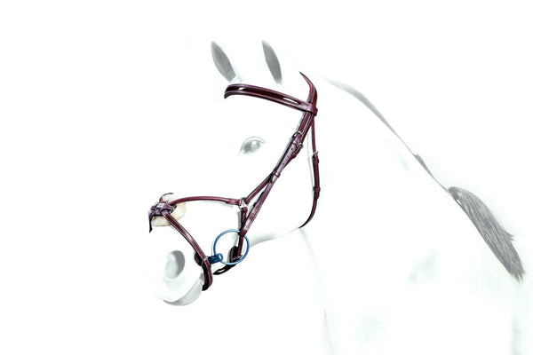 Equipe Patent Rolled Leather Grackle Bridle (BR33)