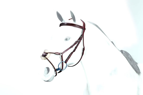 Equipe Patent Leather & Elastic Grackle Bridle (BR34)