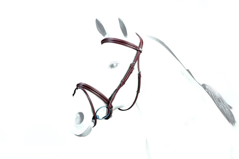 Equipe Padded Flash Bridle (BR35)