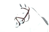 Equipe Grackle Bridle with Clinchered Browband (BR37)