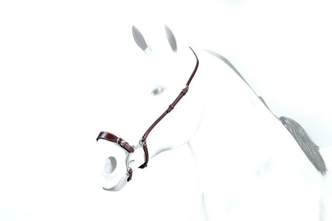 Equipe Kineton Noseband (BR44)