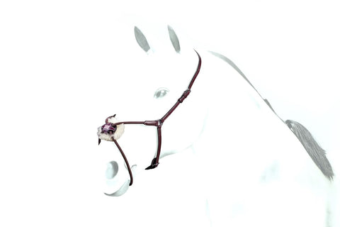 Equipe Elastic Grackle Noseband (BR49)